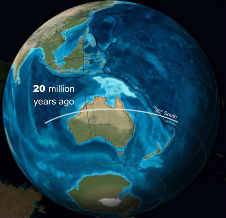 20 million years ago